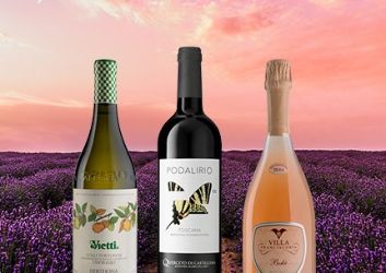 frühlingsweine bei DM Vini, Weine zu Spargel, Bärlauch und Co.