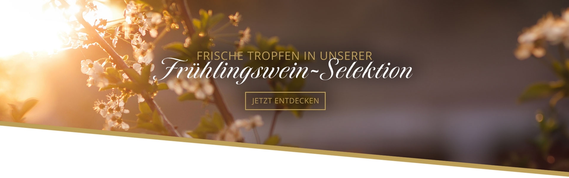 Weine aus unserer Fruehlingsselektion