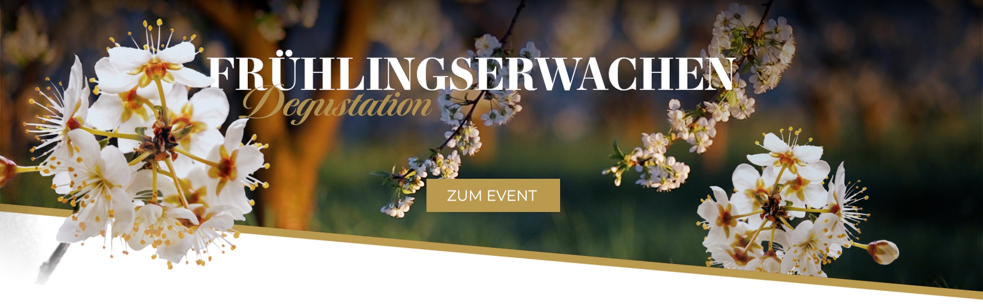 Wein Degustation Frühling, Blumen, Frühlingserwachen
