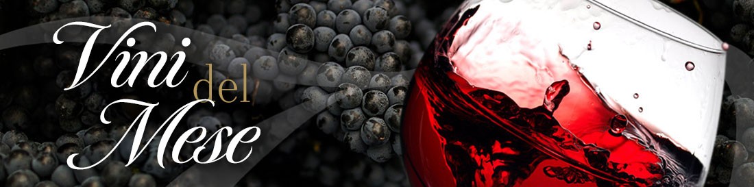 DM Vini Wein des Monats