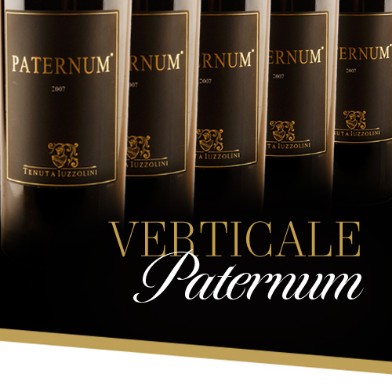 Paternum Verticale (2005 - 2015)
