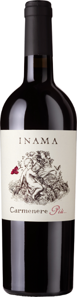 Carmenere Piú  Veneto IGT Rosso