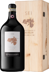 Chianti Classico DOCG Gran Selezione BIO Chianti Classico DOCG Gran Selezione BIO