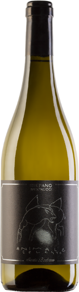 Sauvignon Animale Celeste Marche IGT Sauvignon Animale Celeste Marche IGT