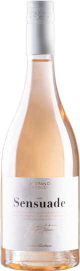 Sensuade Marche Rosato IGT Sensuade Marche Rosato IGT