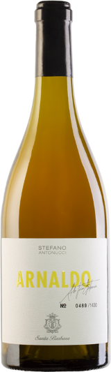 Verdicchio Cast. di Jesi DOC Arnaldo BIO Verdicchio Cast. di Jesi DOC Arnaldo BIO