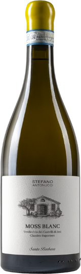 Verdicchio Cast. di Jesi DOC Moss Blanc Verdicchio Cast. di Jesi DOC Moss Blanc