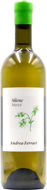 Silene Ticino DOC  Merlot Bianco