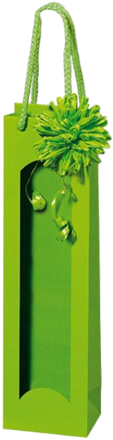Papiertüte Akzente Hellgrün mit Fenster