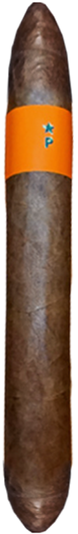 Zigarre Patoro Serie P Jeroboam Zigarre Patoro Serie P Jeroboam