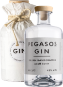 Gin Pegaso's 