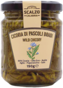 Cicoria di Pascoli Pradi