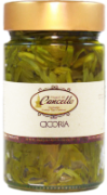 Cicoria